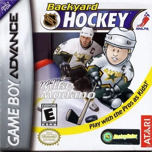 Backyard Hockey