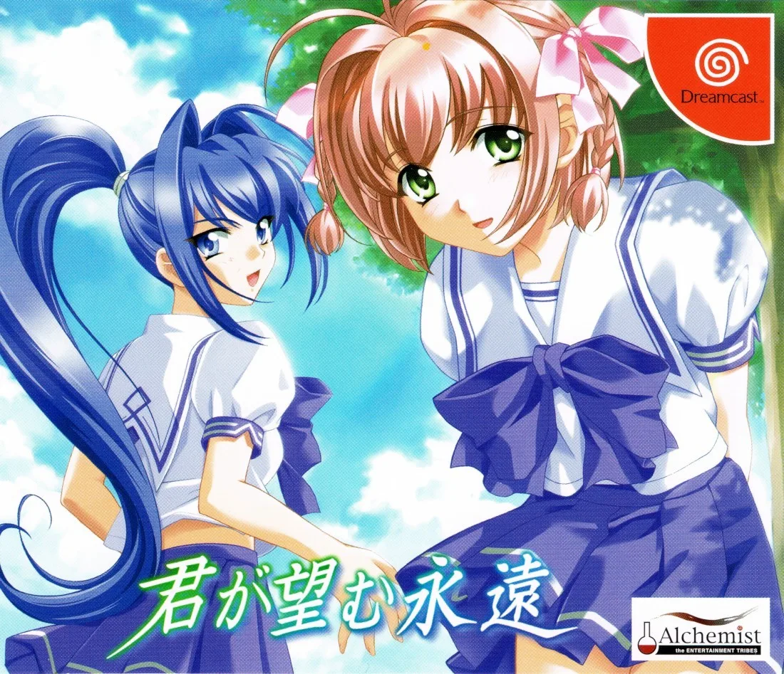 Kimi ga Nozomu Eien