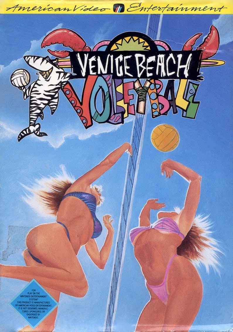 Venice Beach Volleyball