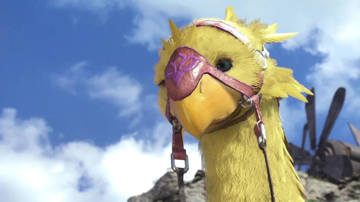 Piko, your chocobo